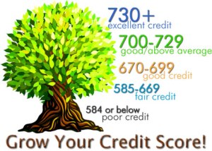 grow-your-credit-score